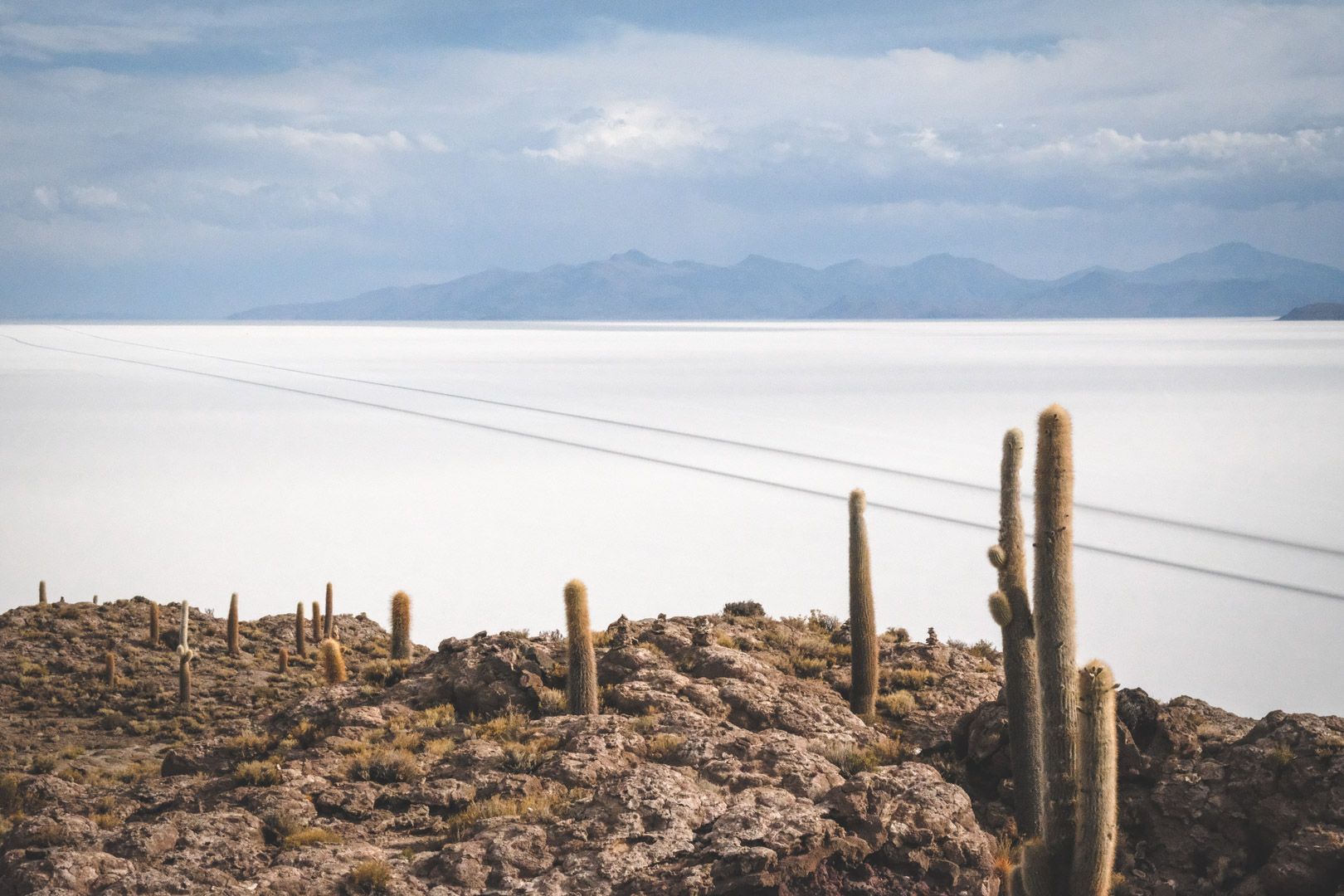 Incahuasi dans le désert d'Uyuni