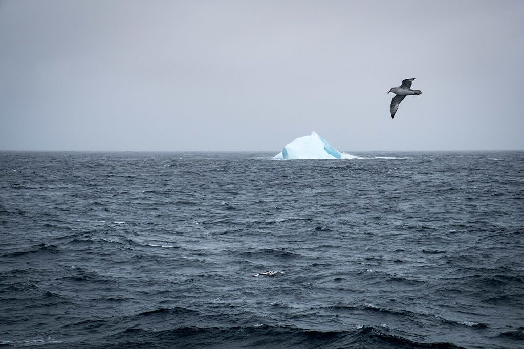 Iceberg en Antarctique