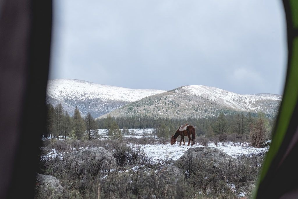 Neige en Mongolie